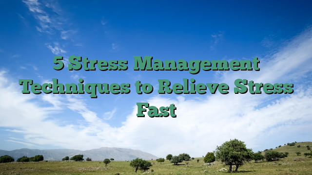 5 Stress Management Techniques to Relieve Stress Fast