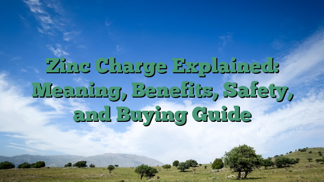 Zinc Charge Explained: Meaning, Benefits, Safety, and Buying Guide